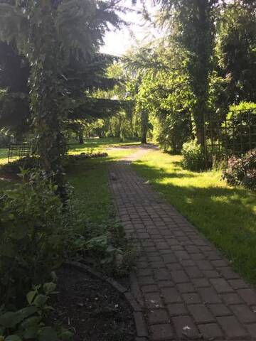 Фото номера Номер-студио с террасой Проживание в семье Apartament u Gabi г. Хойнице 30